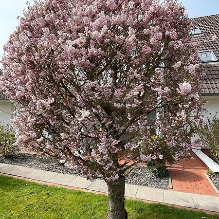 Feriengarten-buesum-b02 *